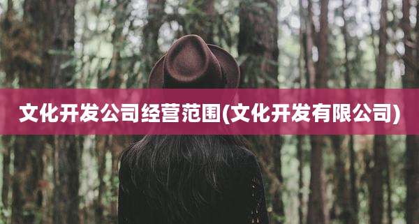 文化开发公司经营范围(文化开发有限公司)
