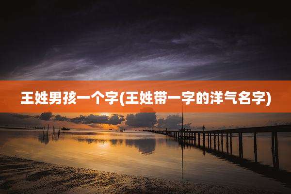 王姓男孩一个字(王姓带一字的洋气名字)