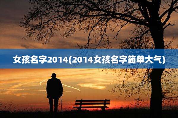 女孩名字2014(2014女孩名字简单大气)