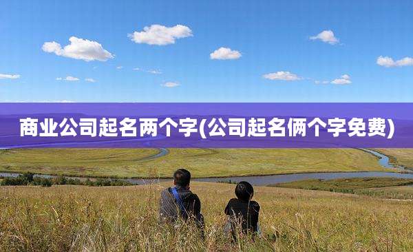 商业公司起名两个字(公司起名俩个字免费)