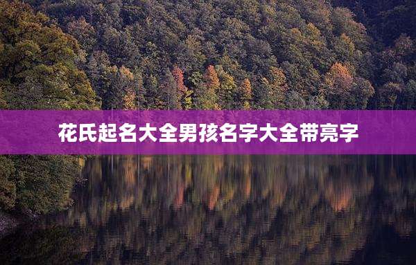 花氏起名大全男孩名字大全带亮字