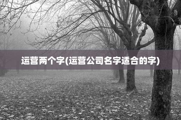 运营两个字(运营公司名字适合的字)