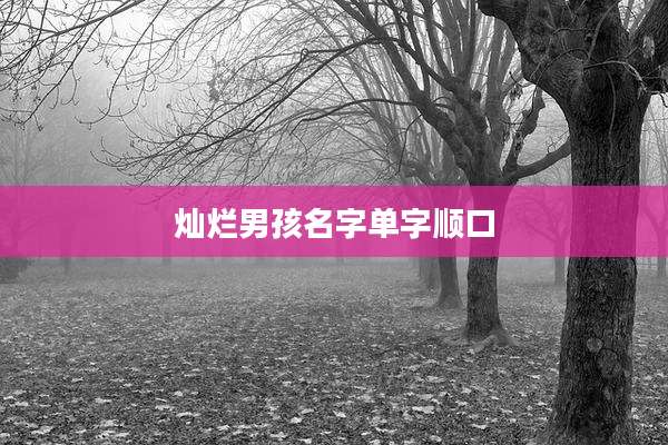 灿烂男孩名字单字顺口