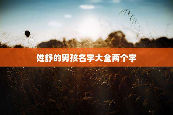 姓舒的男孩名字大全两个字
