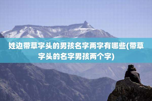 姓边带草字头的男孩名字两字有哪些(带草字头的名字男孩两个字)