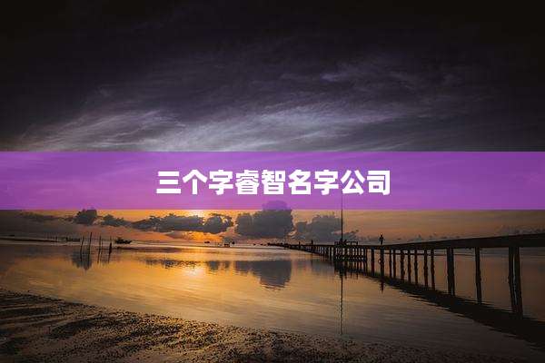 三个字睿智名字公司