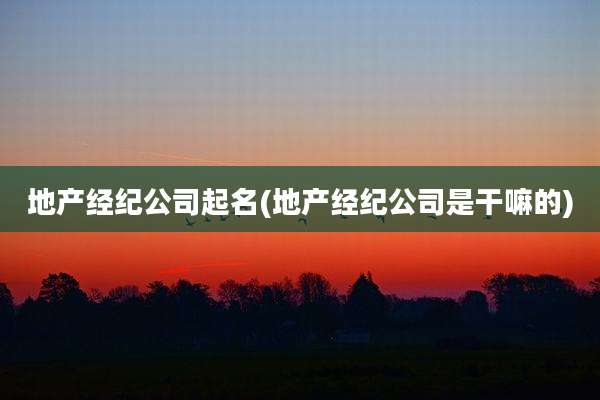 地产经纪公司起名(地产经纪公司是干嘛的)