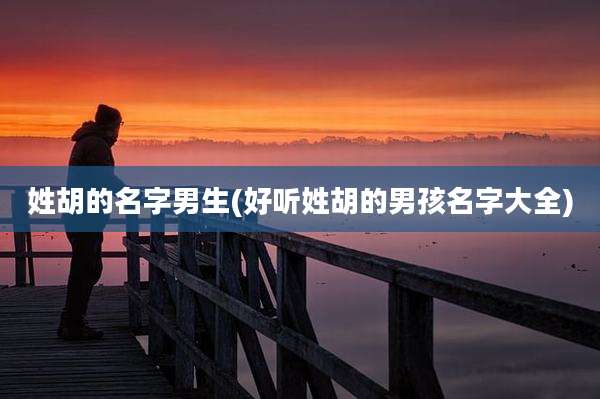 姓胡的名字男生(好听姓胡的男孩名字大全)