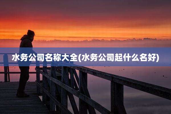 水务公司名称大全(水务公司起什么名好)