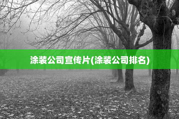 涂装公司宣传片(涂装公司排名)