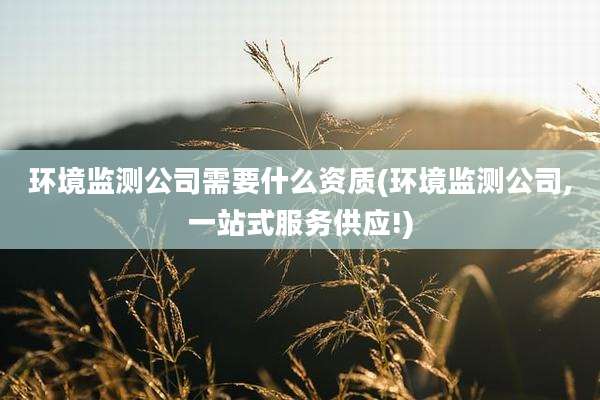 环境监测公司需要什么资质(环境监测公司,一站式服务供应!)