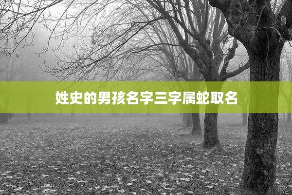 姓史的男孩名字三字属蛇取名