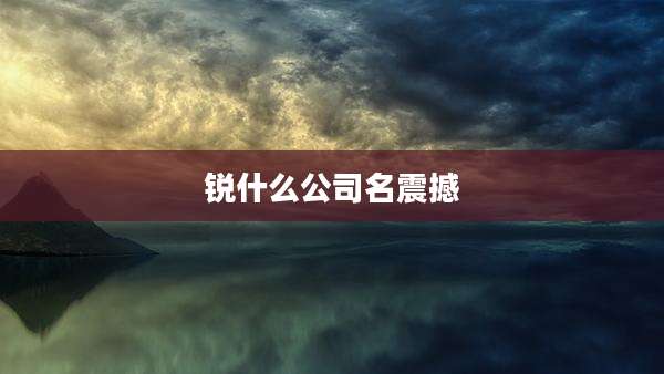 锐什么公司名震撼