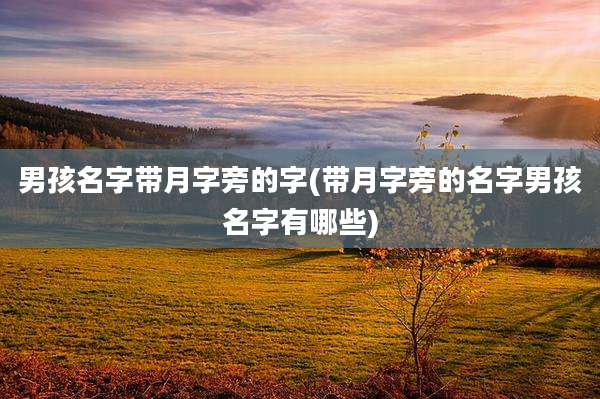男孩名字带月字旁的字(带月字旁的名字男孩名字有哪些)