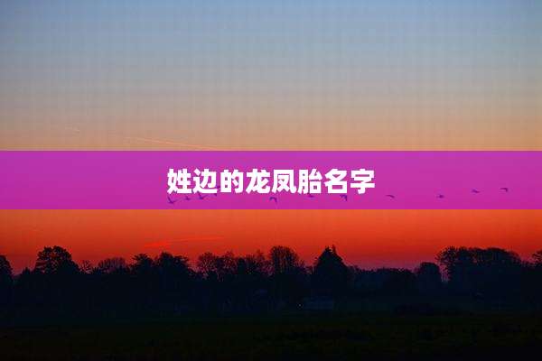 姓边的龙凤胎名字