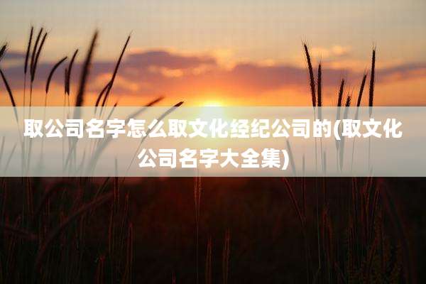 取公司名字怎么取文化经纪公司的(取文化公司名字大全集)