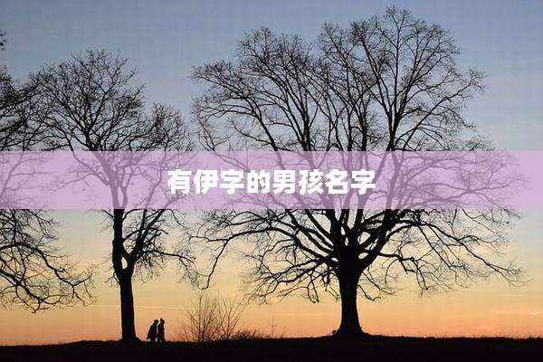 有伊字的男孩名字