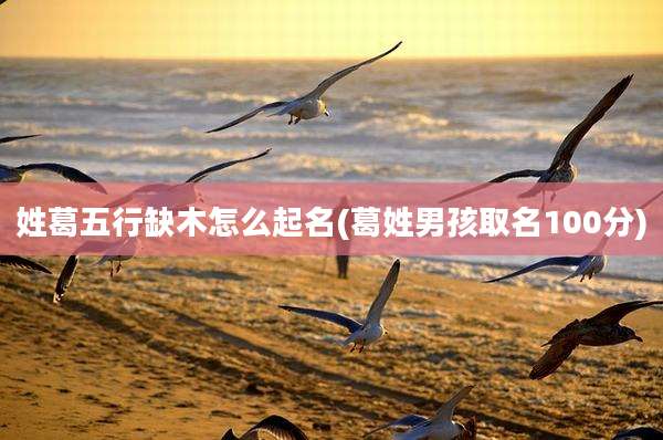 姓葛五行缺木怎么起名(葛姓男孩取名100分)