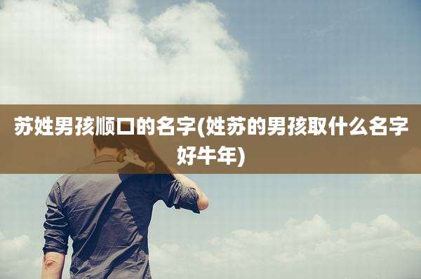 苏姓男孩顺口的名字(姓苏的男孩取什么名字好牛年)