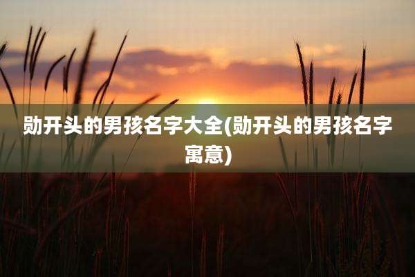 勋开头的男孩名字大全(勋开头的男孩名字寓意)