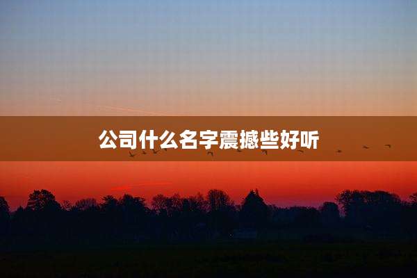 公司什么名字震撼些好听