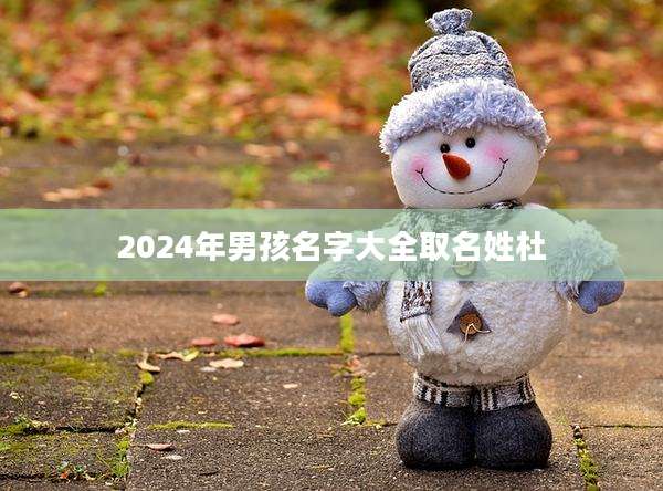 2024年男孩名字大全取名姓杜