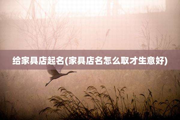给家具店起名(家具店名怎么取才生意好)