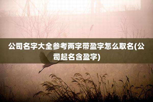 公司名字大全参考两字带盈字怎么取名(公司起名含盈字)