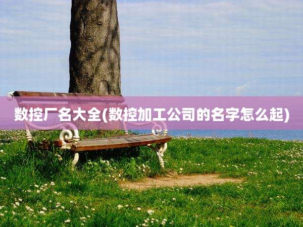 数控厂名大全(数控加工公司的名字怎么起)