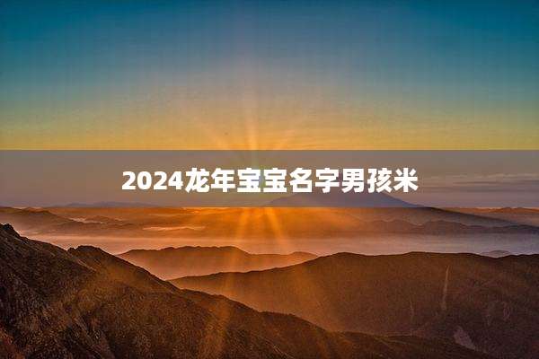 2024龙年宝宝名字男孩米