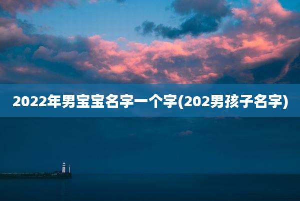 2022年男宝宝名字一个字(202男孩子名字)