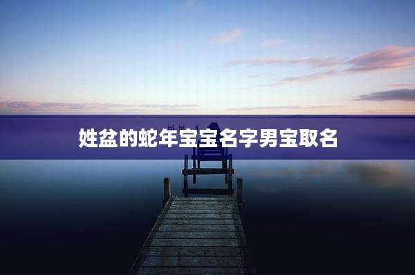 姓盆的蛇年宝宝名字男宝取名