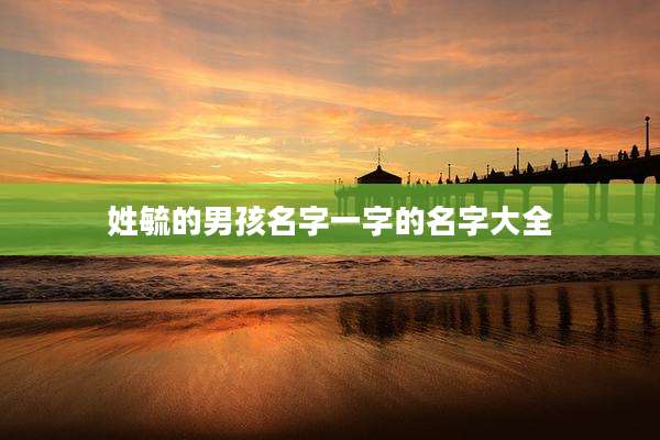 姓毓的男孩名字一字的名字大全