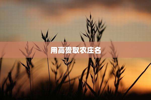 用高贵取农庄名