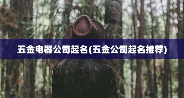 五金电器公司起名(五金公司起名推荐)