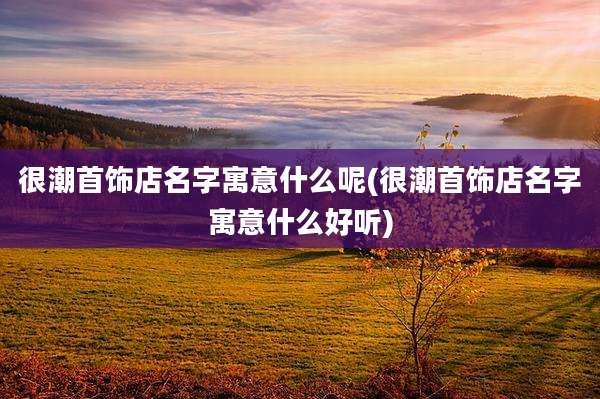很潮首饰店名字寓意什么呢(很潮首饰店名字寓意什么好听)