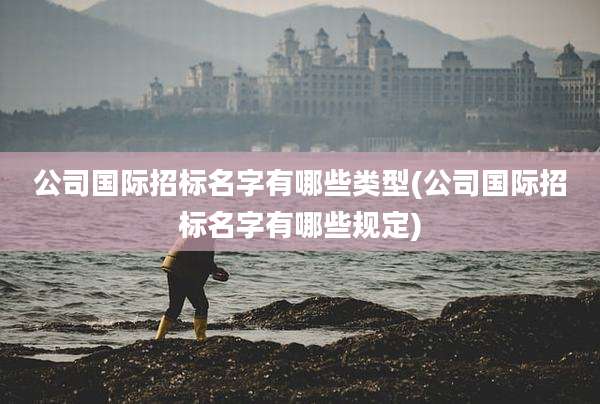 公司国际招标名字有哪些类型(公司国际招标名字有哪些规定)