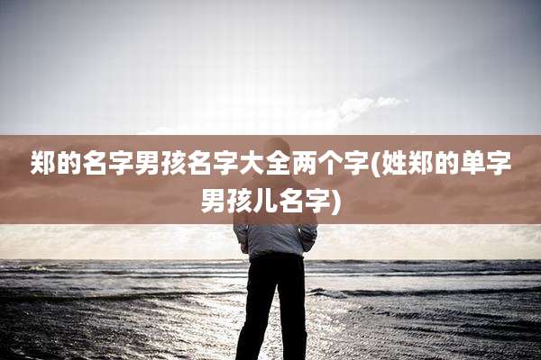 郑的名字男孩名字大全两个字(姓郑的单字男孩儿名字)