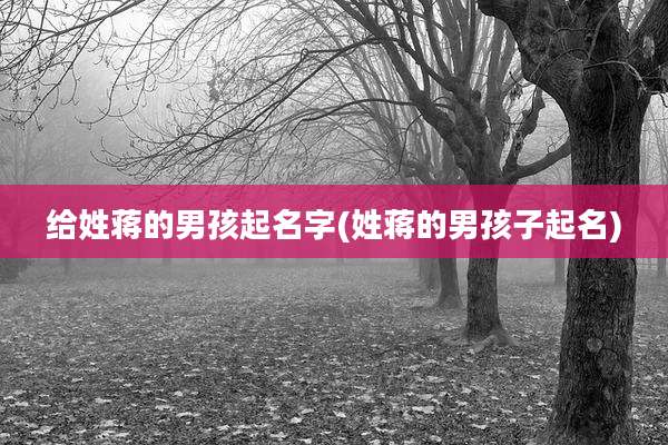 给姓蒋的男孩起名字(姓蒋的男孩子起名)