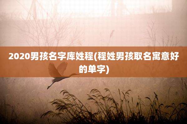 2020男孩名字库姓程(程姓男孩取名寓意好的单字)
