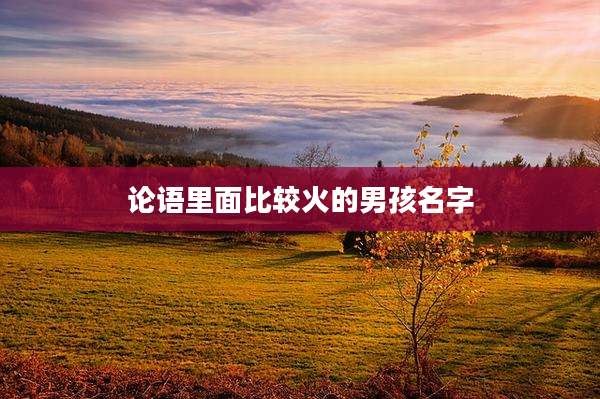 论语里面比较火的男孩名字