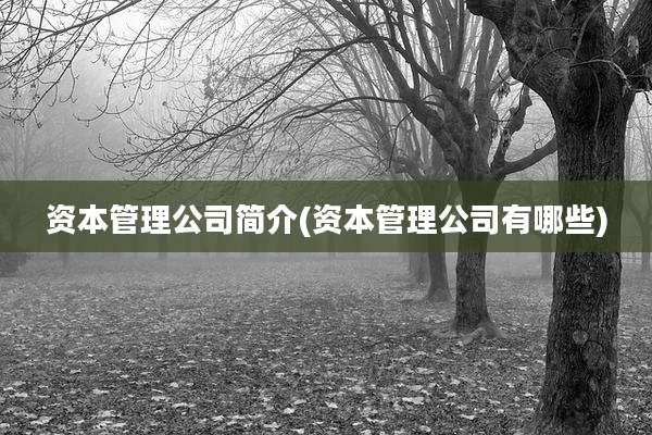 资本管理公司简介(资本管理公司有哪些)