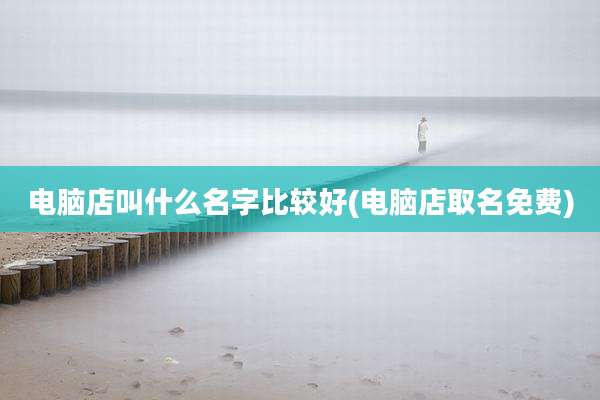 电脑店叫什么名字比较好(电脑店取名免费)