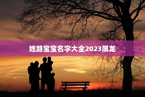 姓路宝宝名字大全2023属龙