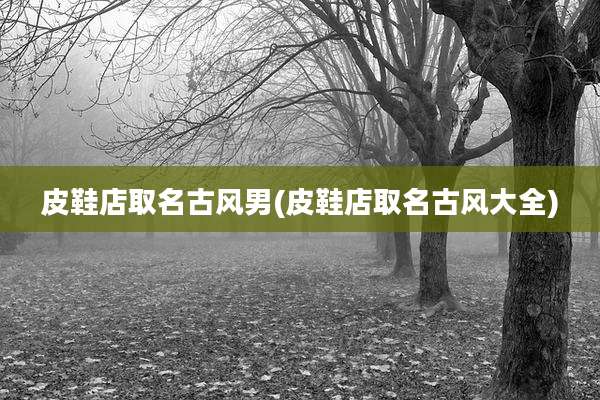 皮鞋店取名古风男(皮鞋店取名古风大全)