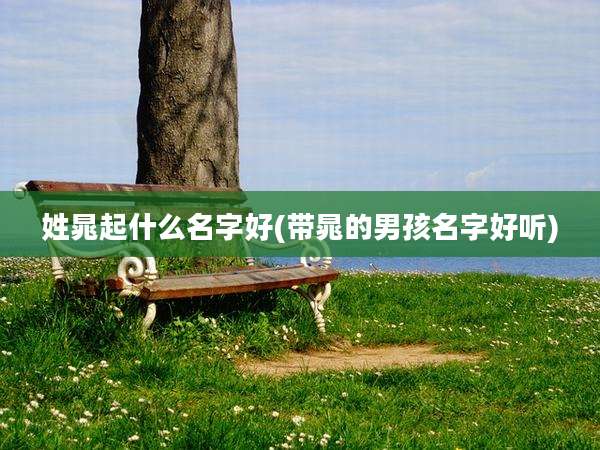 姓晁起什么名字好(带晁的男孩名字好听)