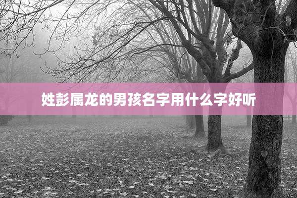 姓彭属龙的男孩名字用什么字好听
