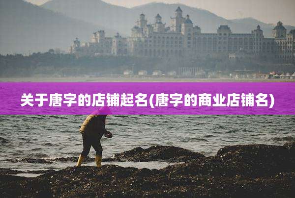 关于唐字的店铺起名(唐字的商业店铺名)