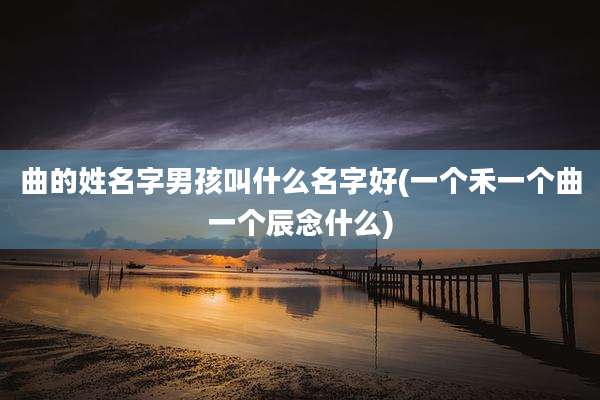 曲的姓名字男孩叫什么名字好(一个禾一个曲一个辰念什么)