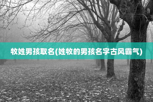 牧姓男孩取名(姓牧的男孩名字古风霸气)